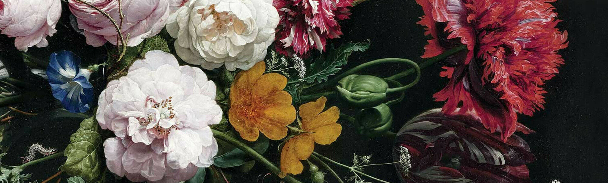 KEK Amsterdam | Flora & Fauna KEK Amsterdam | Flora & Fauna