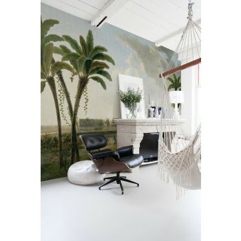 Fotobehang Koffieplantage