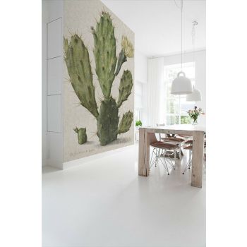 Fotobehang blooming cactus