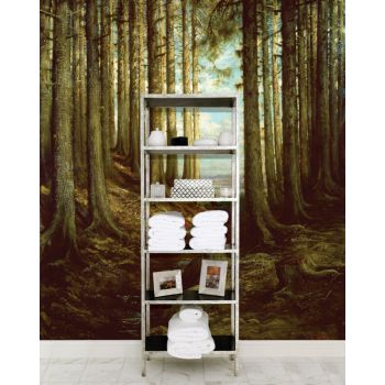 Fotobehang Alpine scene