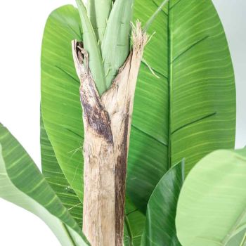 Kunstplant bananenboom 180cm
