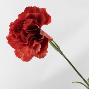 Kunstbloem anjer rood