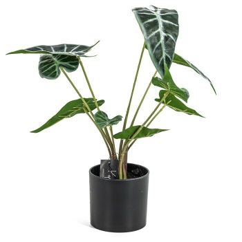 Alocasia kunstplant in pot