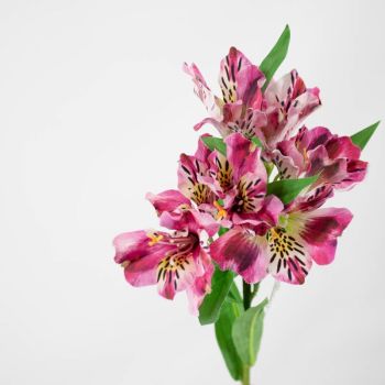 Kunstbloem alstroemeria fuchsia