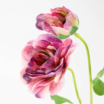Kunstbloem ranonkel paars