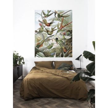 Behangpaneel Exotische vogels