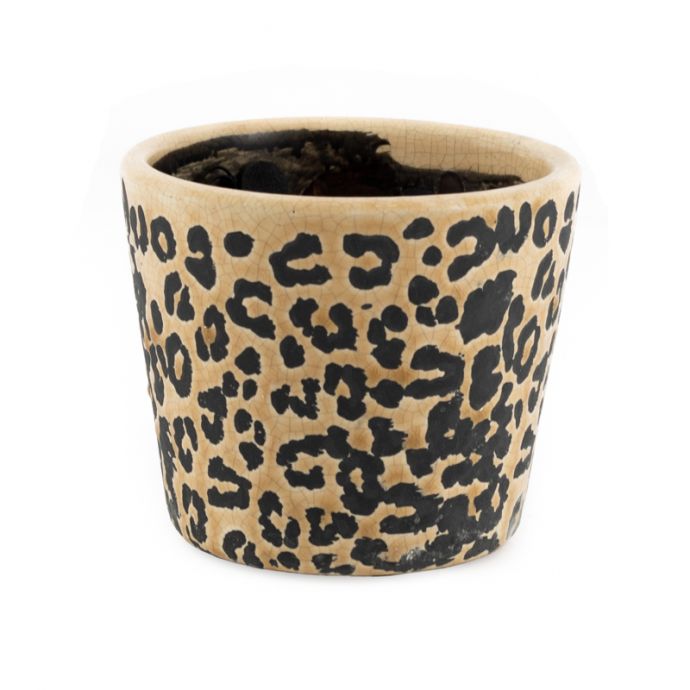 Aardewerk bloempot 12cm panter
