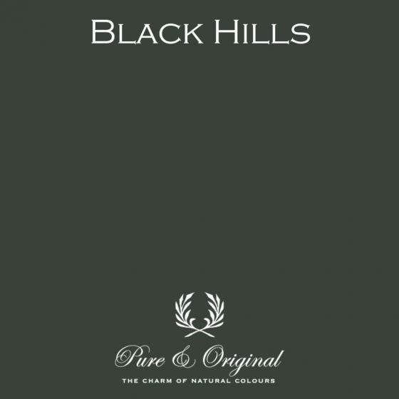 Traditional Paint High Gloss Black Hills