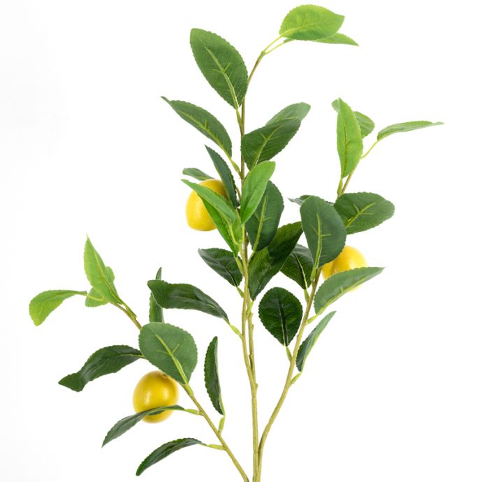 Kunsttak citroen real touch