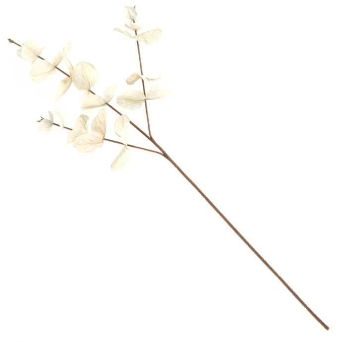 Eucalyptus tak beige