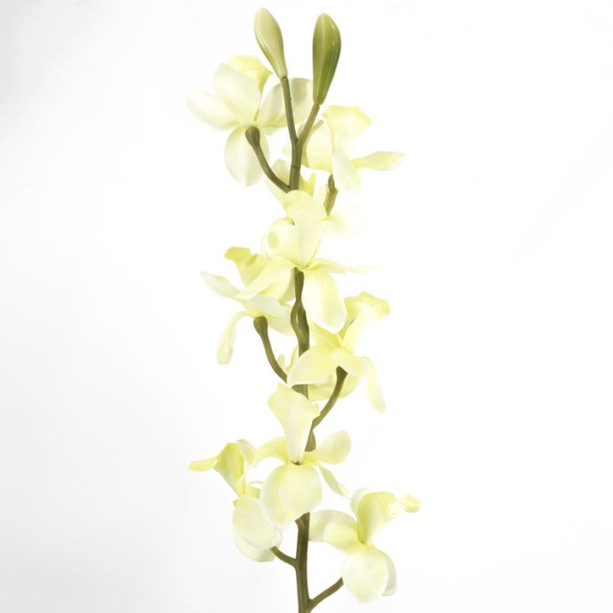Kunsttak cymbidiumorchidee wit