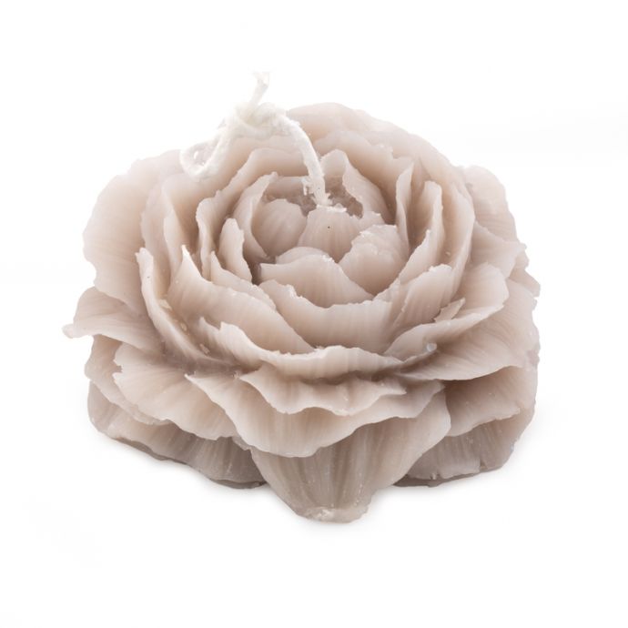 Soyakaars roos beige