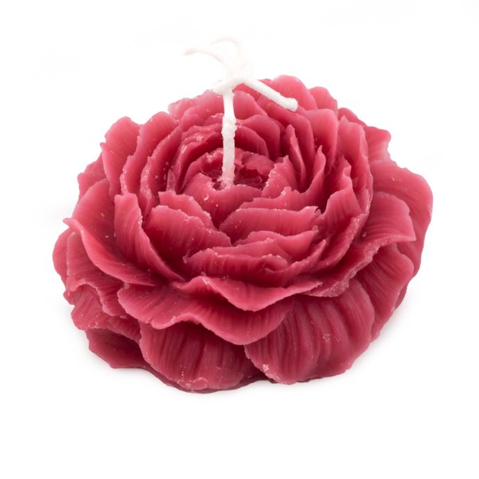 Soyakaars roos fuchsia