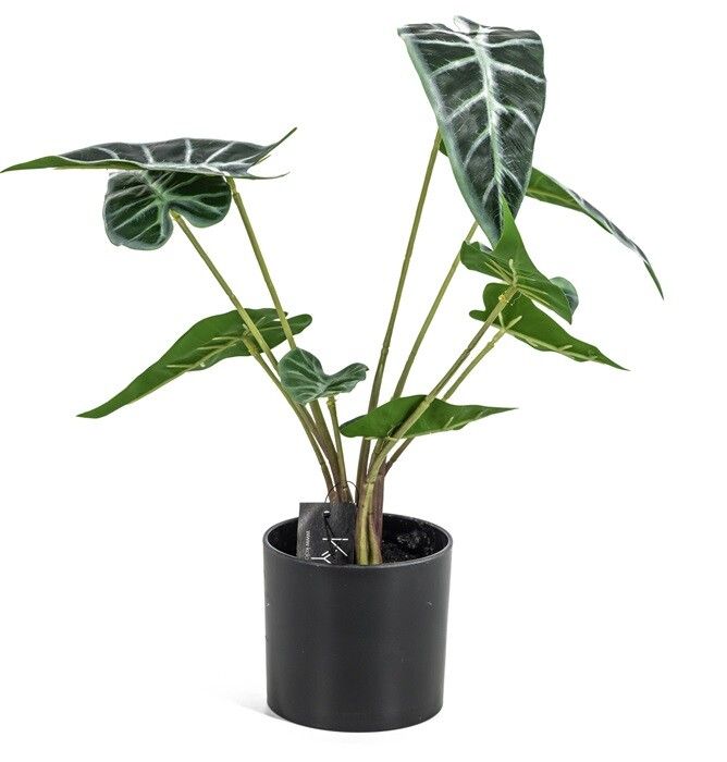 Alocasia kunstplant in pot