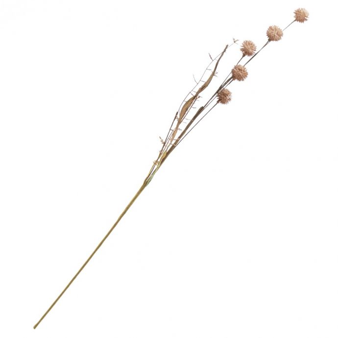 Veldboeketje distel oudroze 
