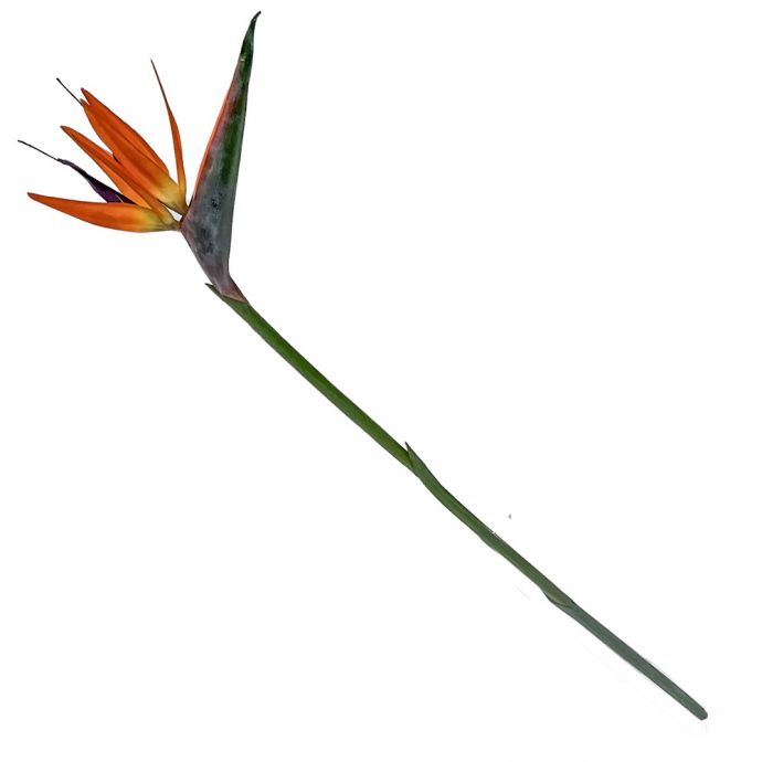 Kunstbloem Strelitzia oranje