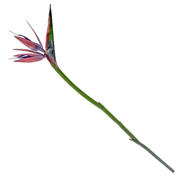 Kunstbloem Strelitzia roze