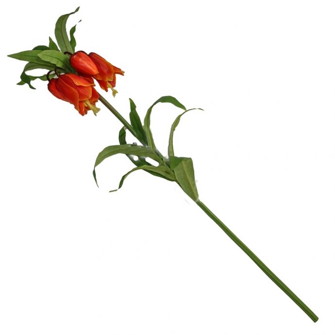 Kunsttak Fritillaria, kievitsbloem rood