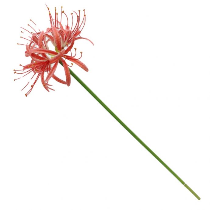 Kunstbloem real touch amaryllis koraal