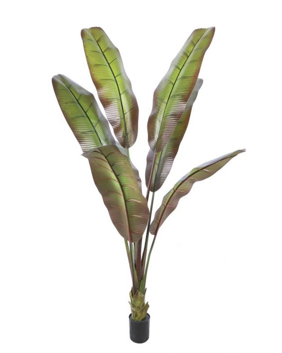 Kunstplant Japanse bananenboom 190cm