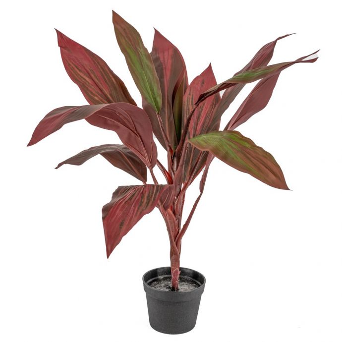 Kunstplant rode cycas 70cm