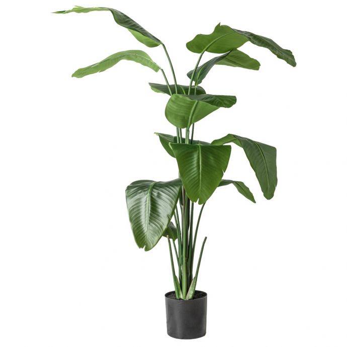 Kunstplant strelitzia 180cm