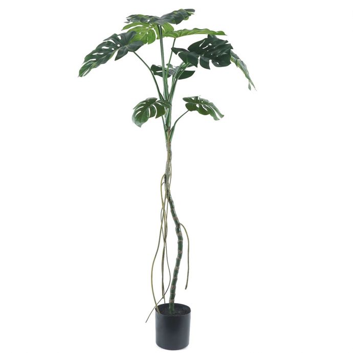 Kunstplant Monstera op stam 180cm