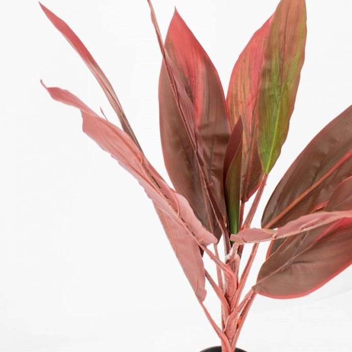 Kunstplant rode cycas 70cm