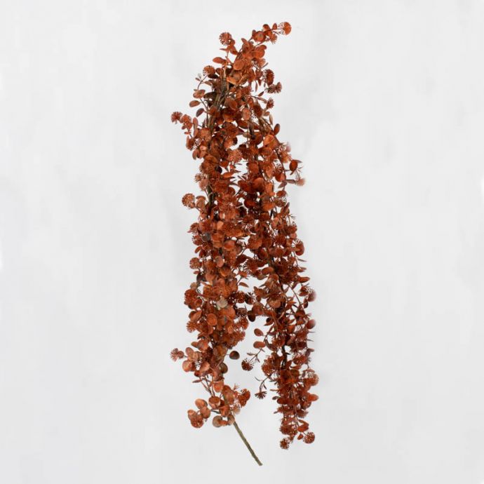 Eucalyptus slinger burgundy