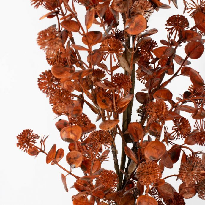 Eucalyptus slinger burgundy