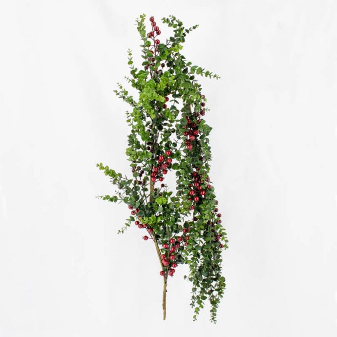 Eucalyptus slinger met besjes