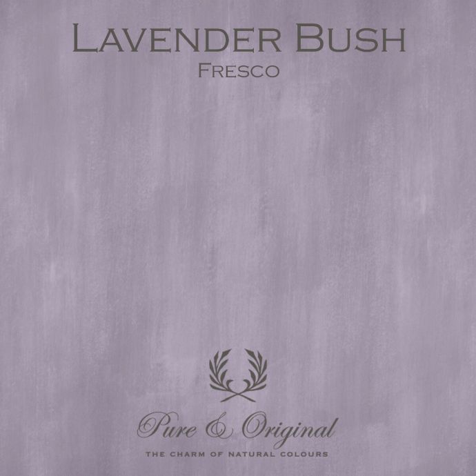 Pure & Original Fresco Lavender Bush