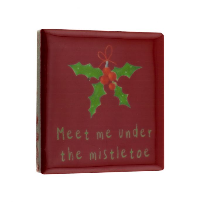 Magneettegeltje - Meet me under the mistletoe