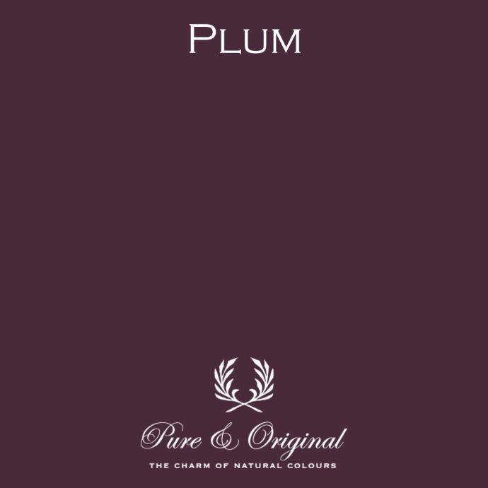Traditional Paint High Gloss Plum