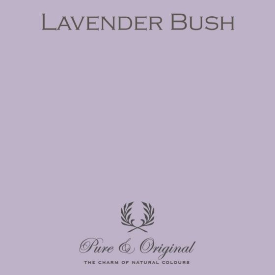 Pure & Original Traditional Omniprim Lavender Bush