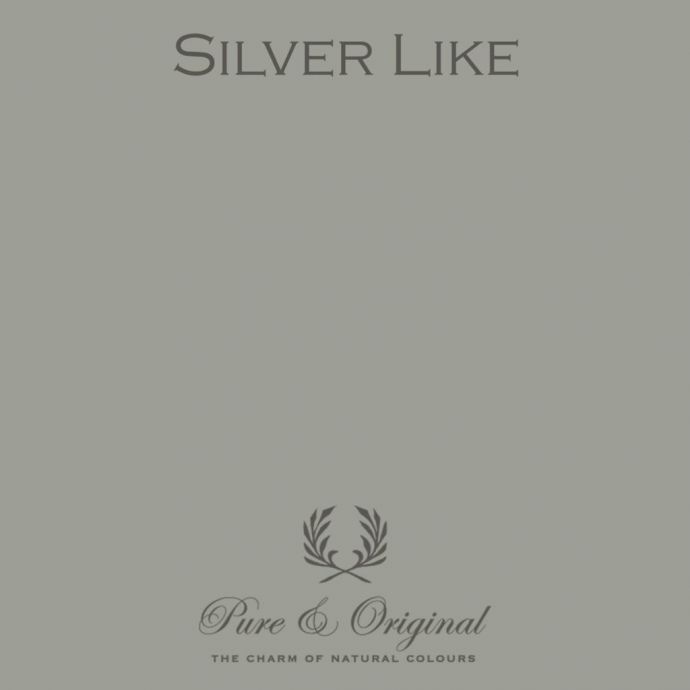 Traditional Paint High Gloss Silver Like