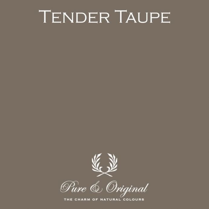 Traditional Paint High Gloss Tender Taupe