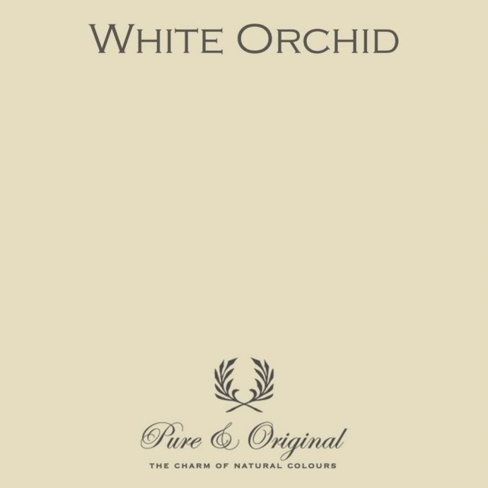 Traditional Paint High Gloss White Orchid