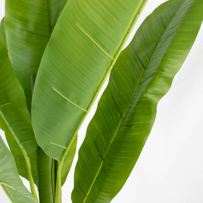 Kunstplant bananenboom 180cm
