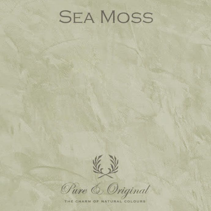 Pure & Original Marrakech Walls Sea Moss