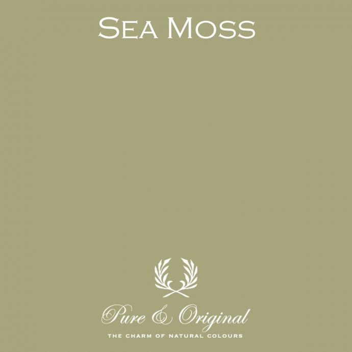 Pure & Original Traditional Paint Elements Sea Moss