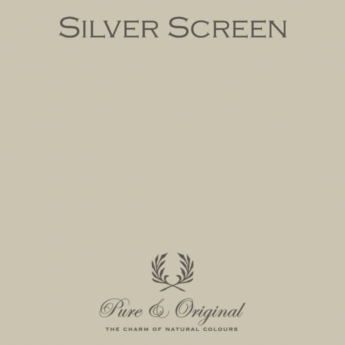 Traditional Paint High Gloss Silver Screen
