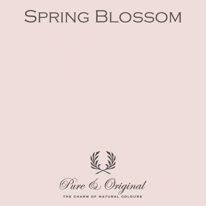 Traditional Paint High Gloss Spring Blossom