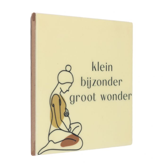 Tegeltje 'Klein bijzonder groot wonder'