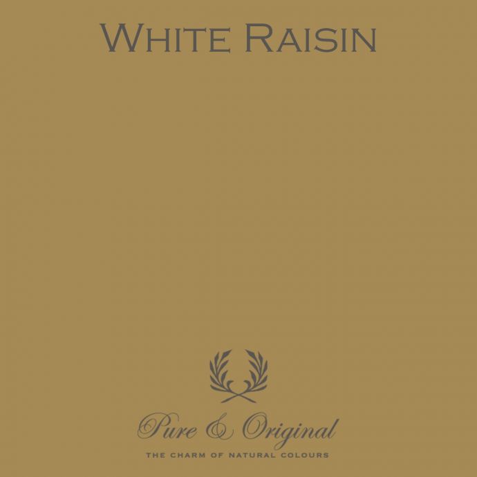 Traditional Paint High Gloss White Raisin