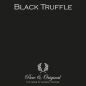Traditional Paint High Gloss Black Truffle