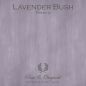 Pure & Original Fresco Lavender Bush