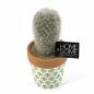 Cactus kunst met potje
