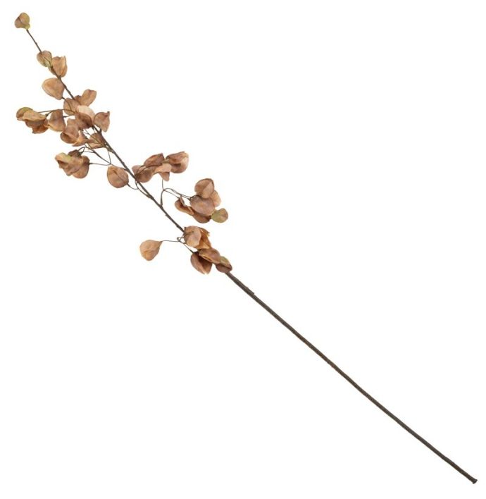 Kunst bloesemtak Koelreuteria 106cm taupe