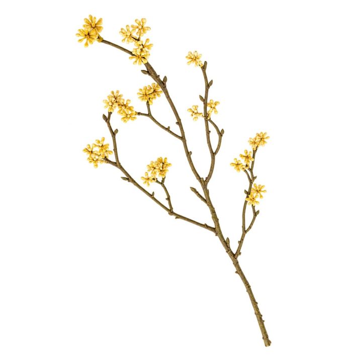 Kunsttak rijstbloem 56cm beige